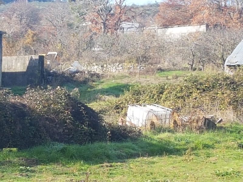 Lote 3